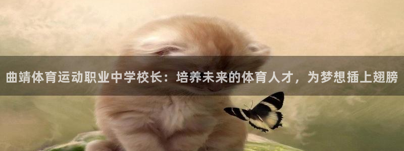 风速体育app下载安装最新版本