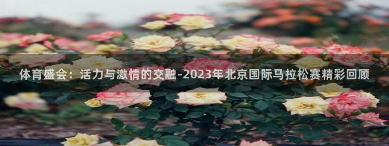 风速体育nba直播