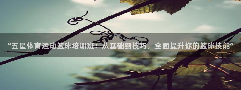 风速体育app官方下载