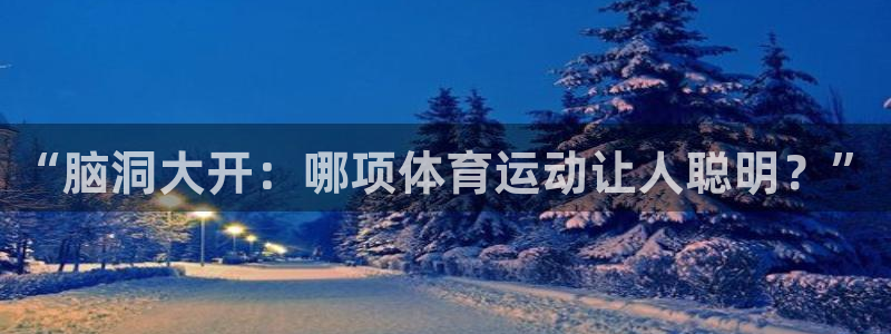 风速体育nba免费直播