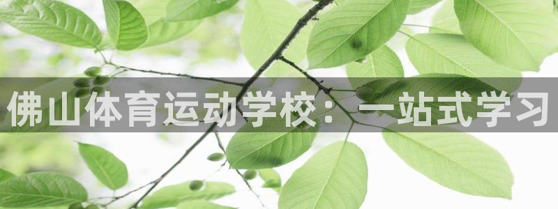 风速体育app
