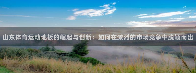 风速体育app