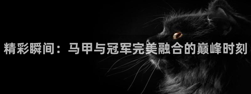 风速体育直播app