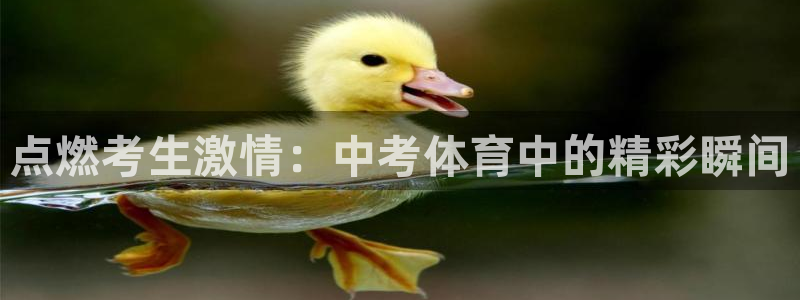 风速体育下载
