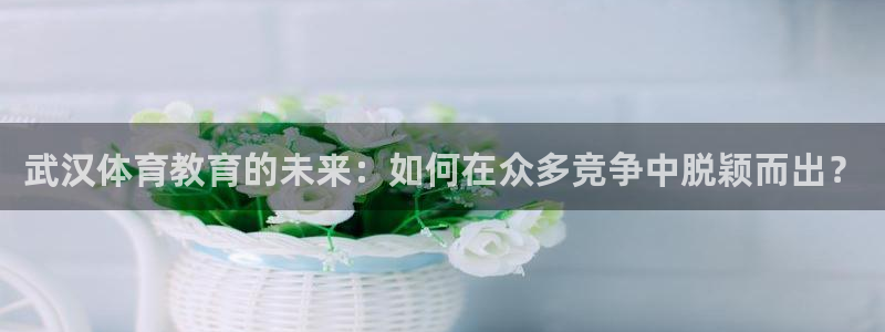 风速体育