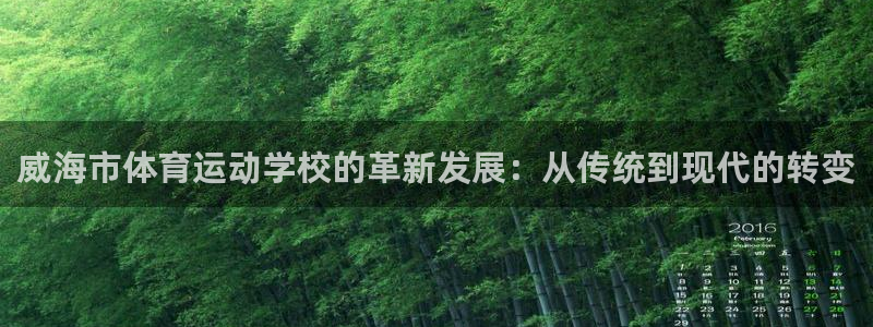 风速体育