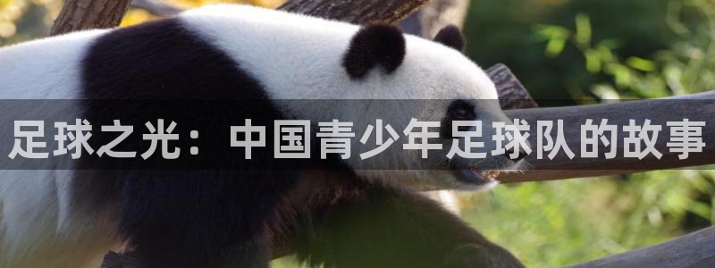 风速体育cba直播
