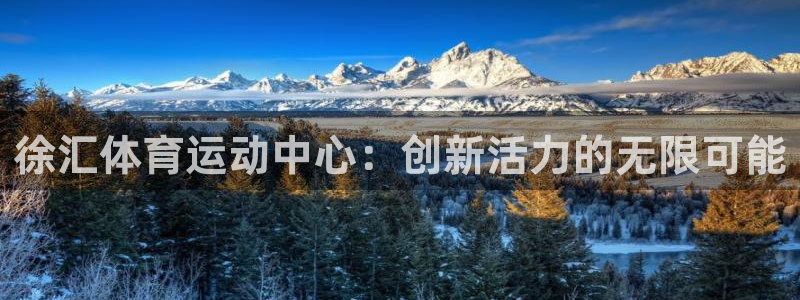 风速体育app下载官网最新版
