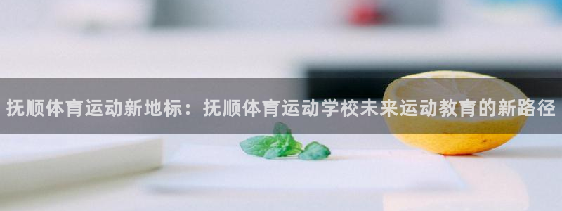 风速体育官网