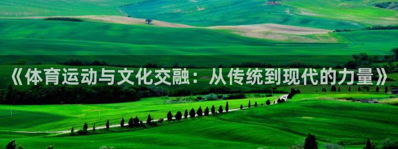下载风速体育