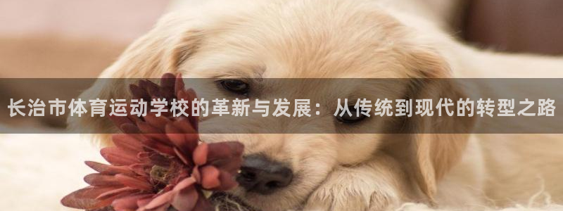 风速体育app