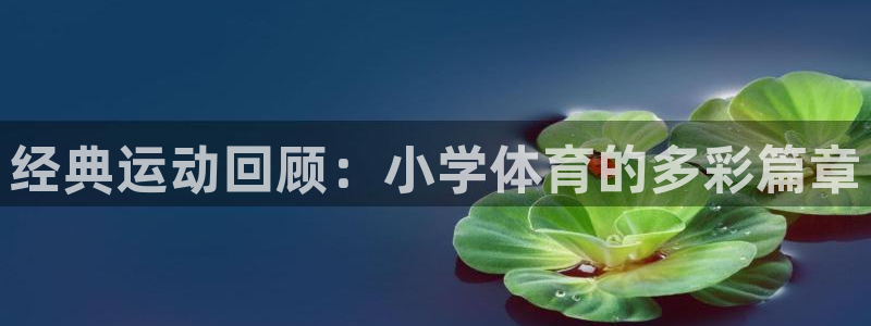 风速体育app官方下载